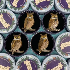 Erstwilder Gillian The Giving Owl Brooch^ Brooches
