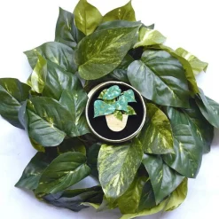 Erstwilder Show Me The Money Plant Brooch^ Brooches