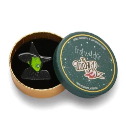 Erstwilder Wicked Witch Of The West Brooch^ Brooches